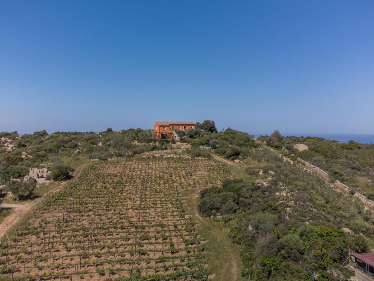 Villa Locazione Turistica Rita Palau Esterno foto