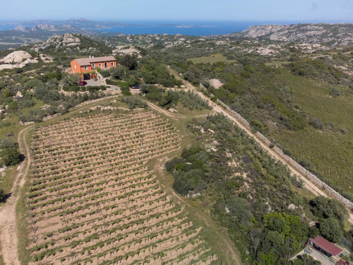 Villa Locazione Turistica Rita Palau Esterno foto