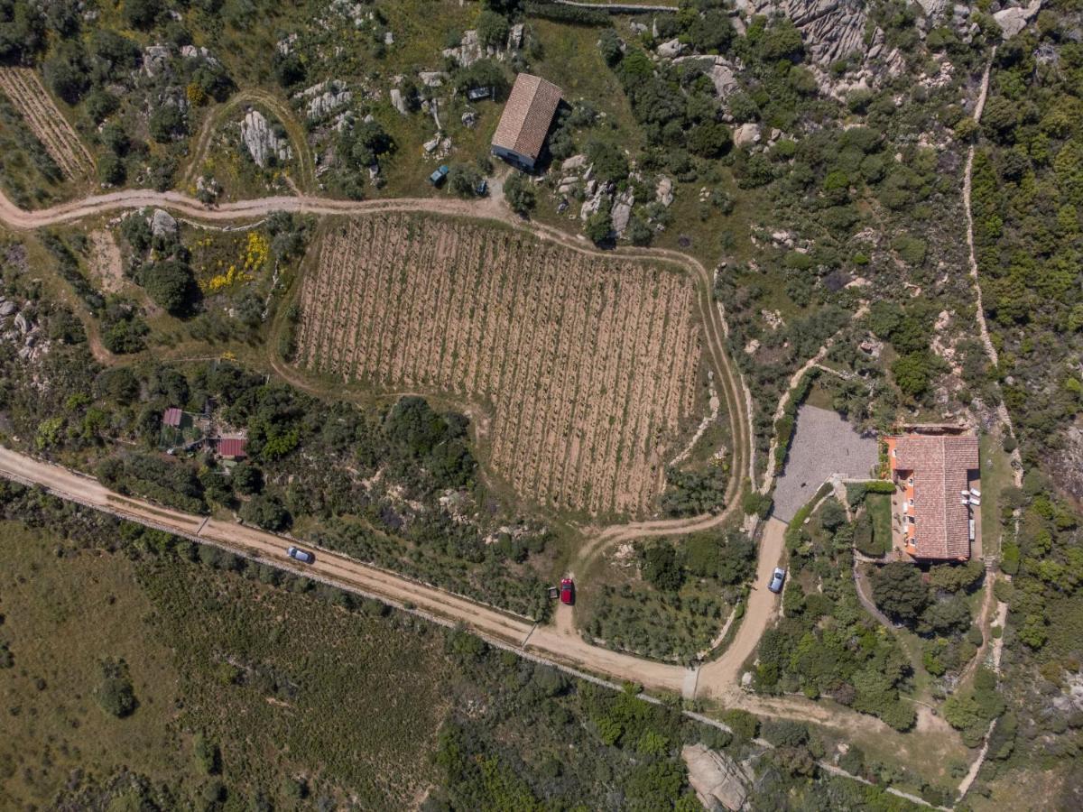 Villa Locazione Turistica Rita Palau Esterno foto